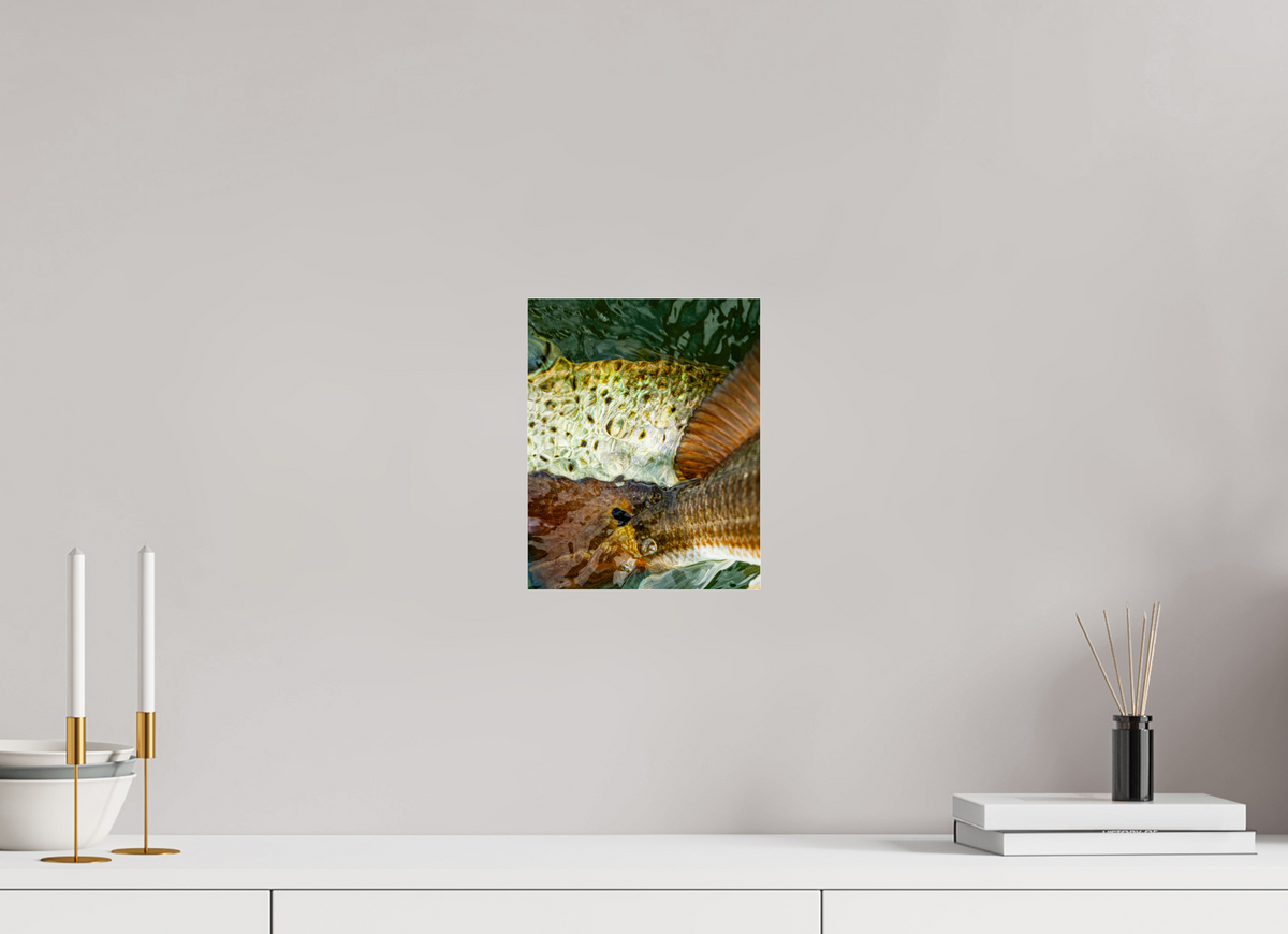 8 x 10″, Acrylic Premium Print Tag Team Premium