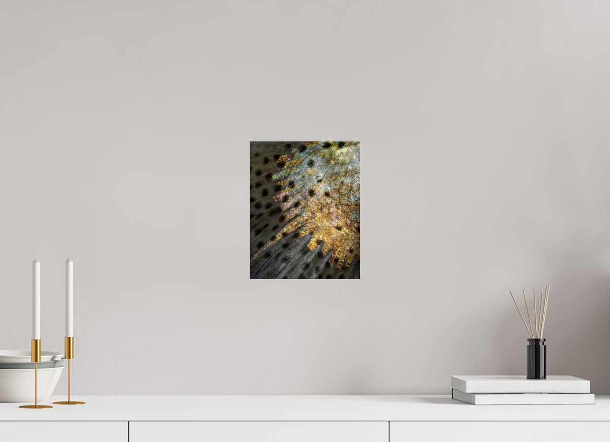 8 x 10″, Acrylic Premium Print Paddletail Premium