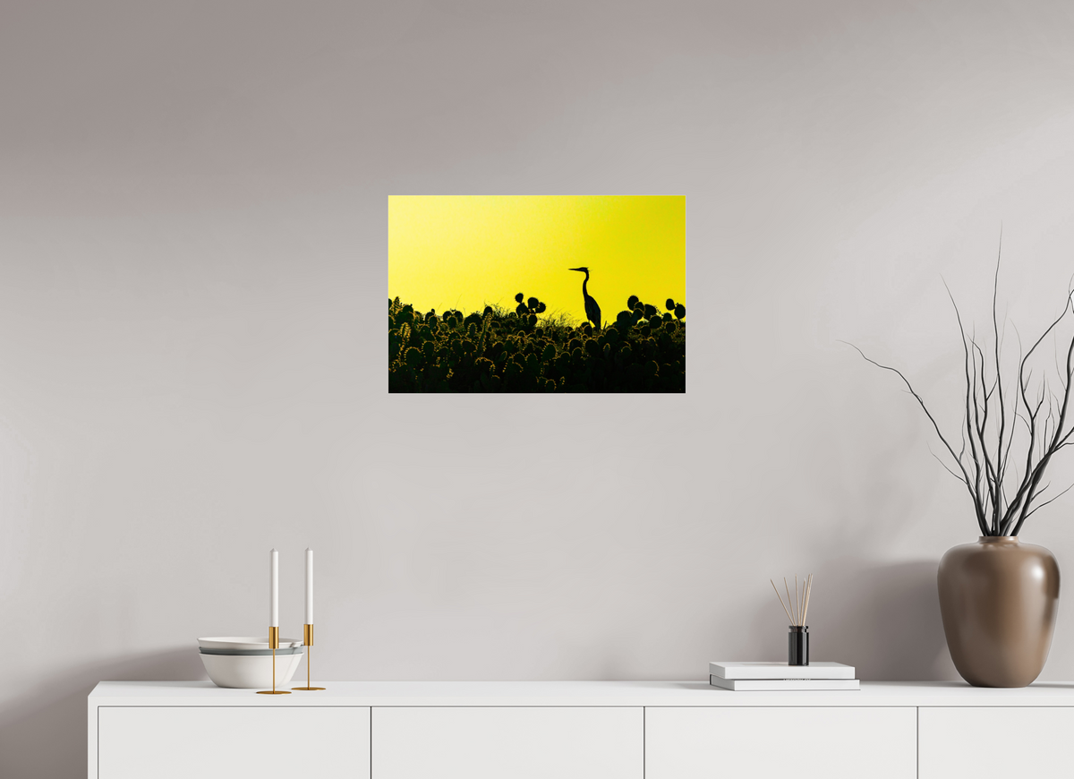 24 x 16″, Acrylic Premium Print Early Bird Premium