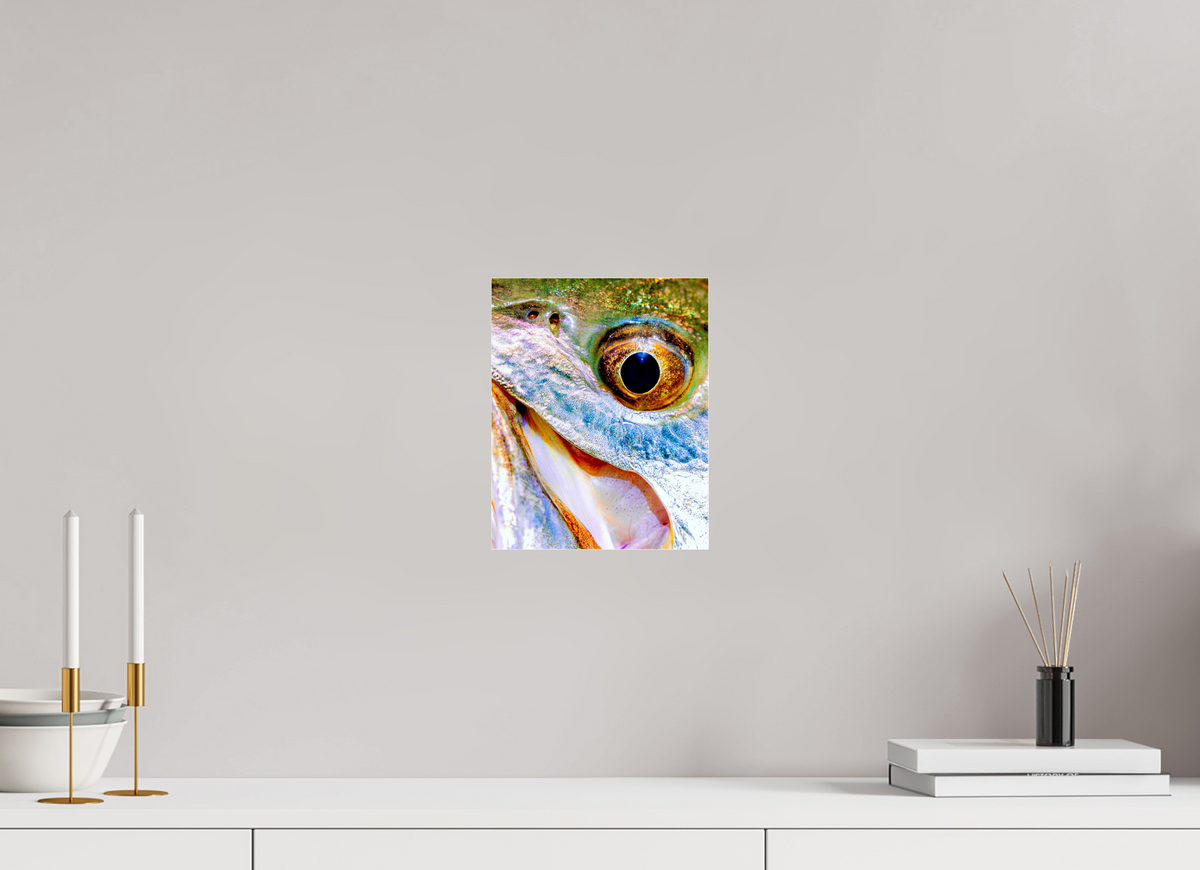 8 x 10″, Acrylic Premium Print Eye 2 Eye Premium