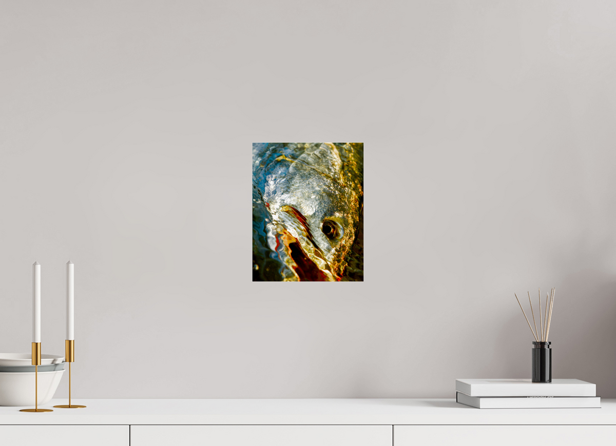 8 x 10″, Acrylic Premium Print Texas Gold Premium