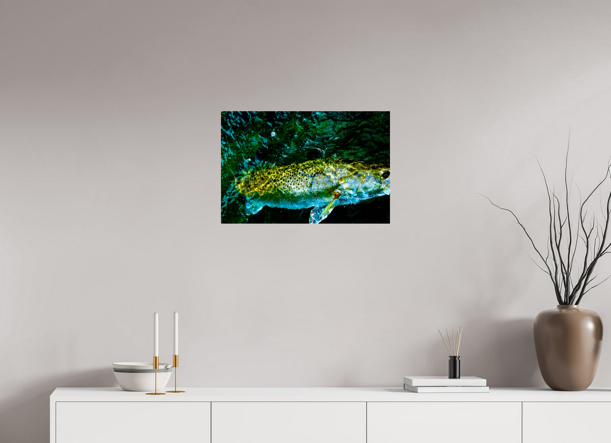 24 x 16″, Acrylic Premium Print Subsurface Premium
