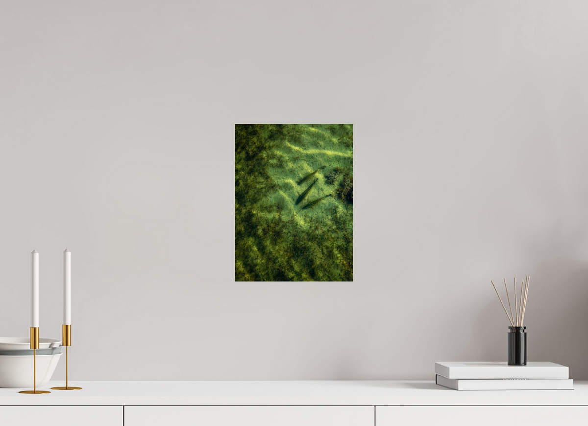 9 x 12″, Metallic Photo Premium Print Trout Trio Premium
