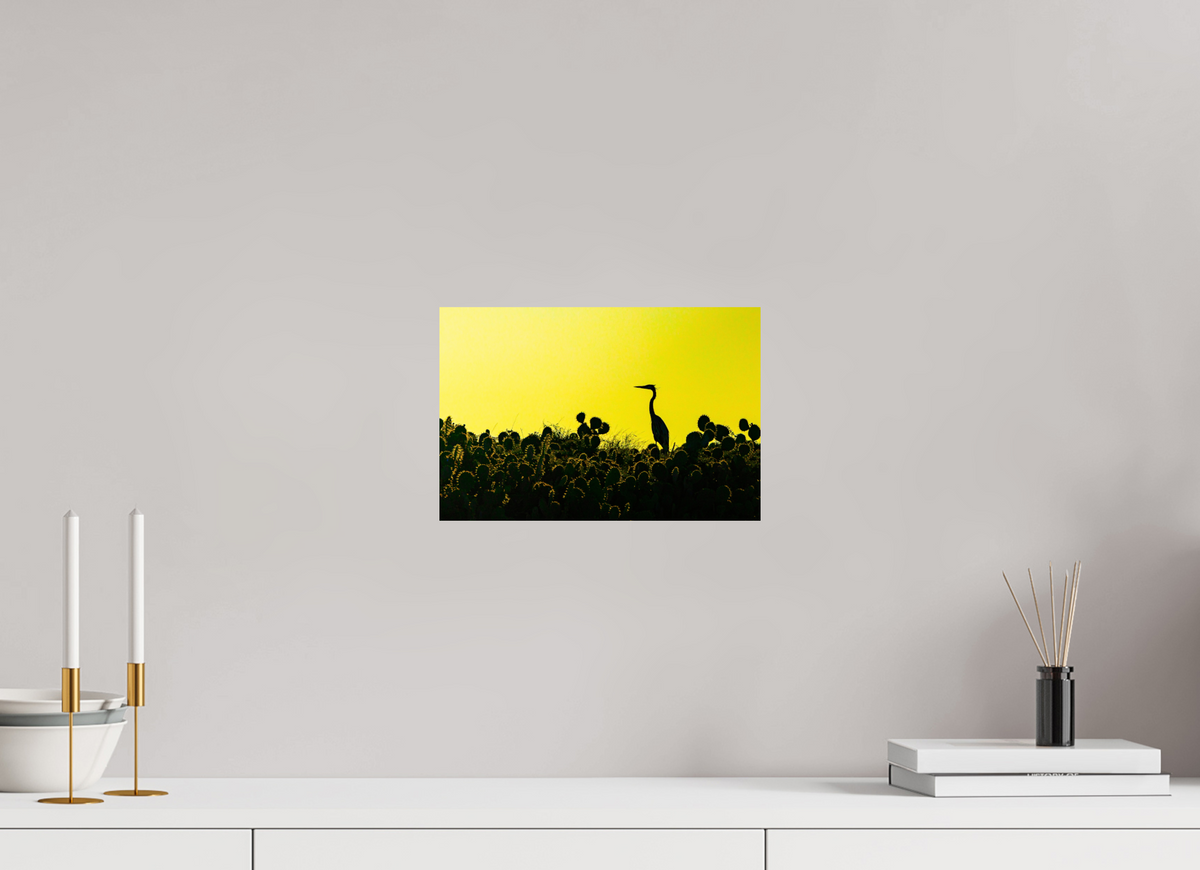 12 x 8″, Paper Premium Print Early Bird Premium