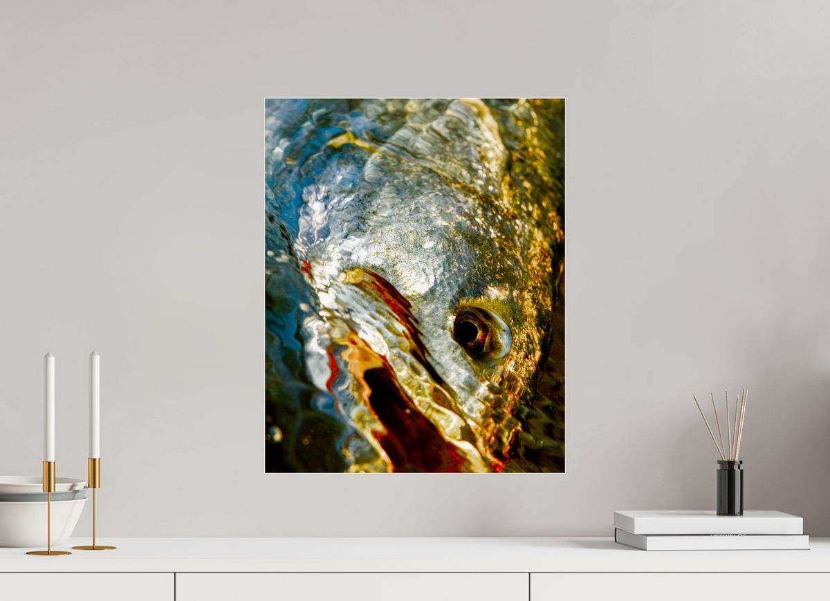 16 x 20″, Acrylic Premium Print Texas Gold Premium