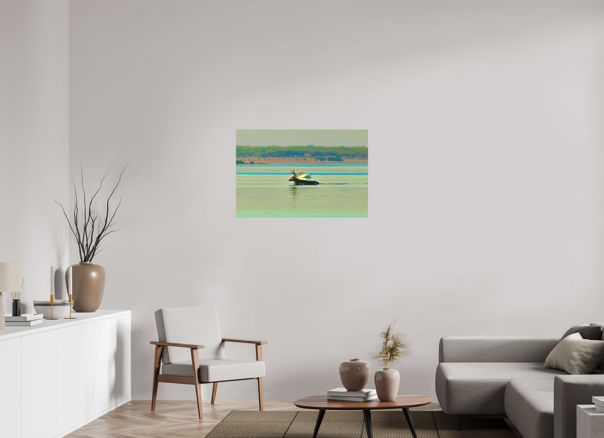 36 x 24″, Paper Premium Print Early Morning Swim Premium