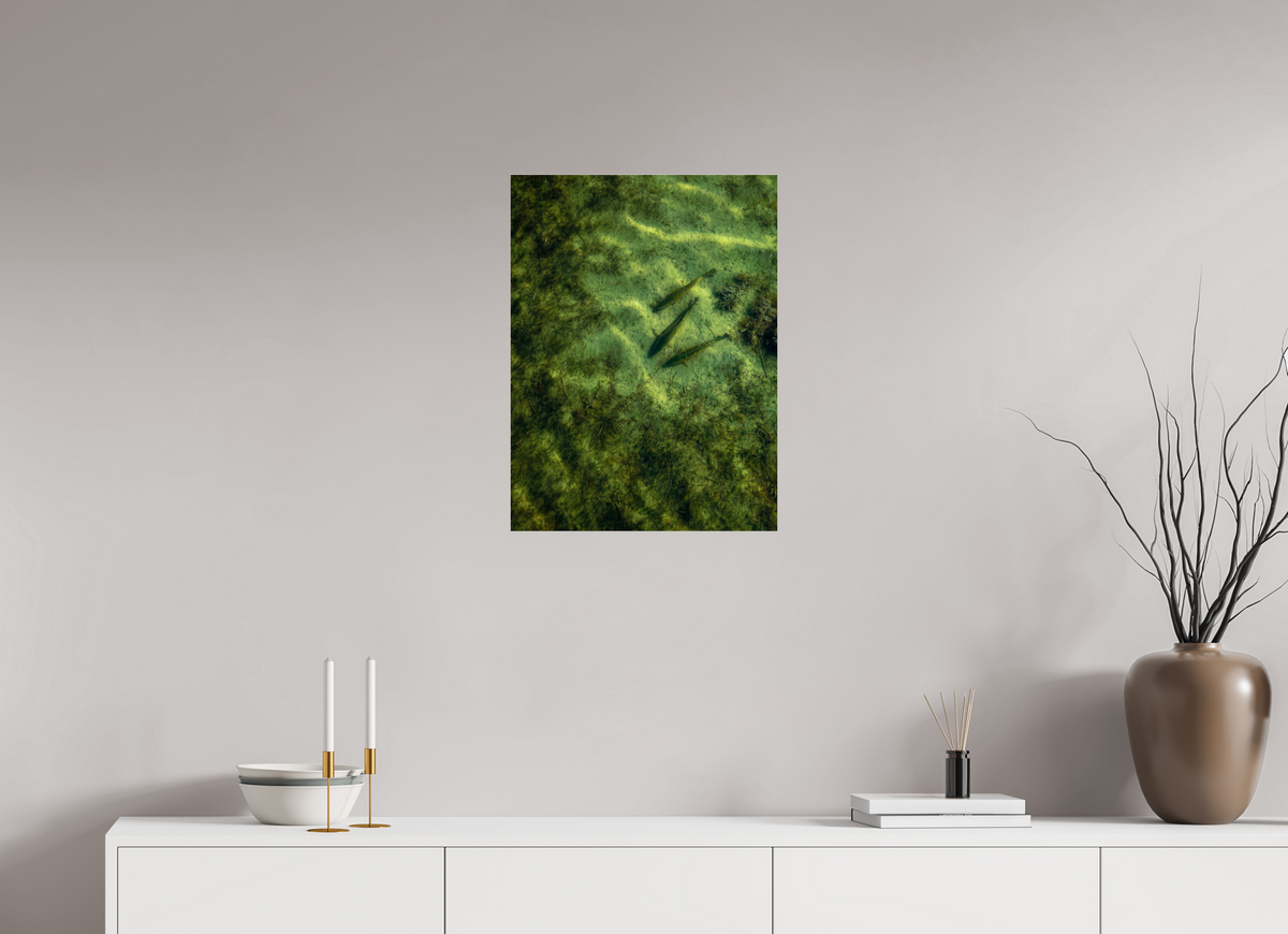 18 x 24″, Acrylic Premium Print Trout Trio Premium
