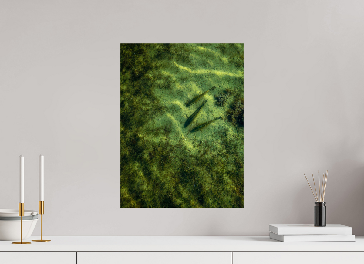15 x 20″, Metal Premium Print Trout Trio Premium