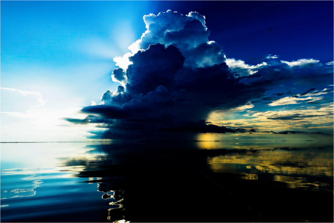 Main image LLM Horizon #1 Premium