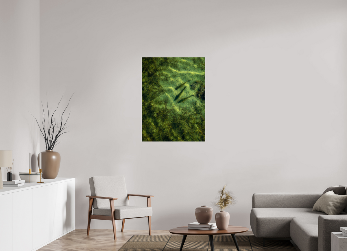 30 x 40″, Paper Premium Print Trout Trio Premium