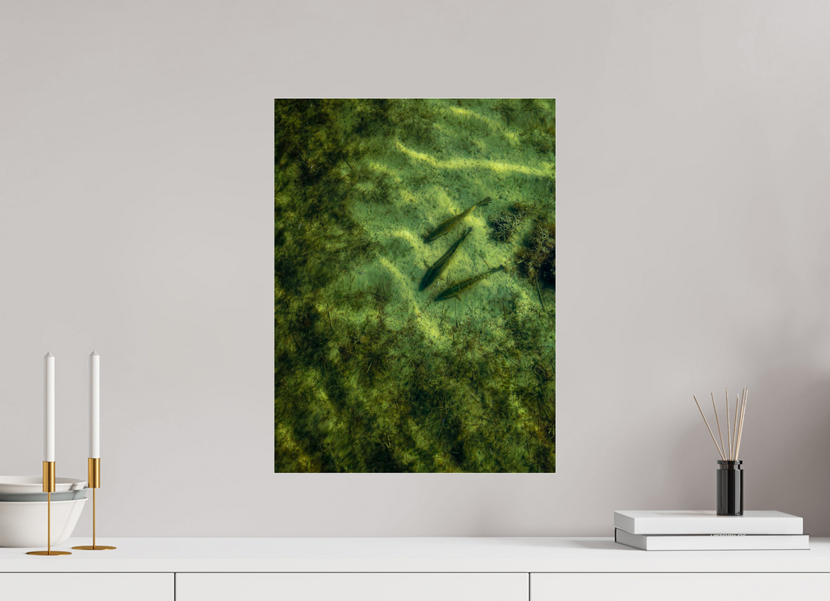 15 x 20″, Acrylic Premium Print Trout Trio Premium