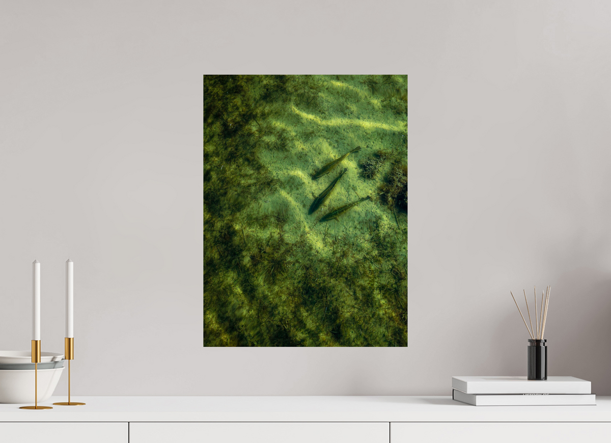 15 x 20″, Paper Premium Print Trout Trio Premium