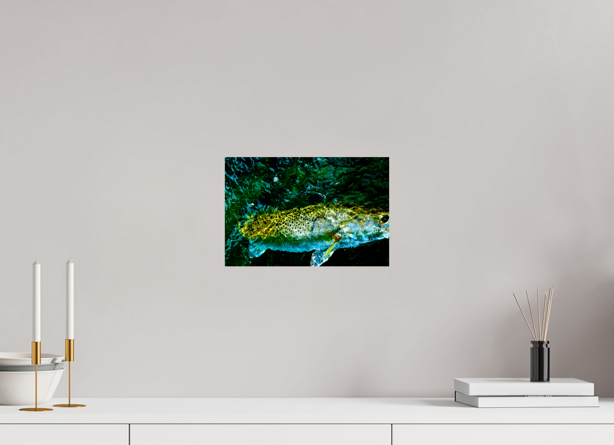 12 x 8″, Paper Premium Print Subsurface Premium