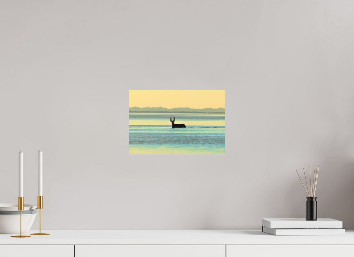 12 x 8″, Acrylic Premium Print Lone Buck Premium
