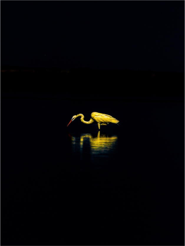 Main image High Contrast Premium