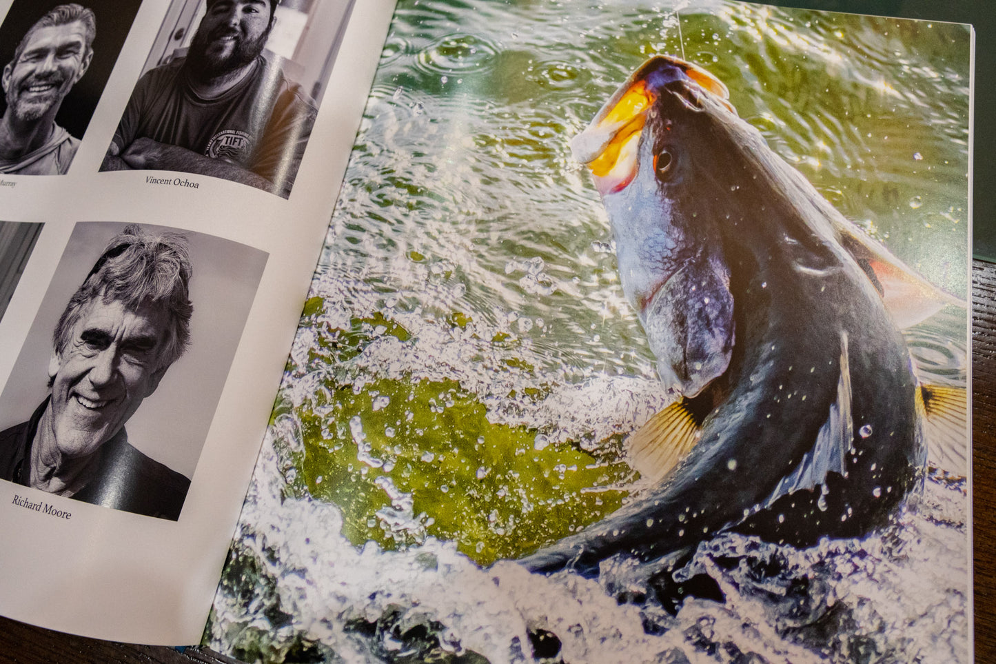 LAGUNA book