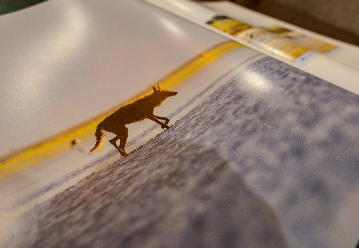 LAGUNA book