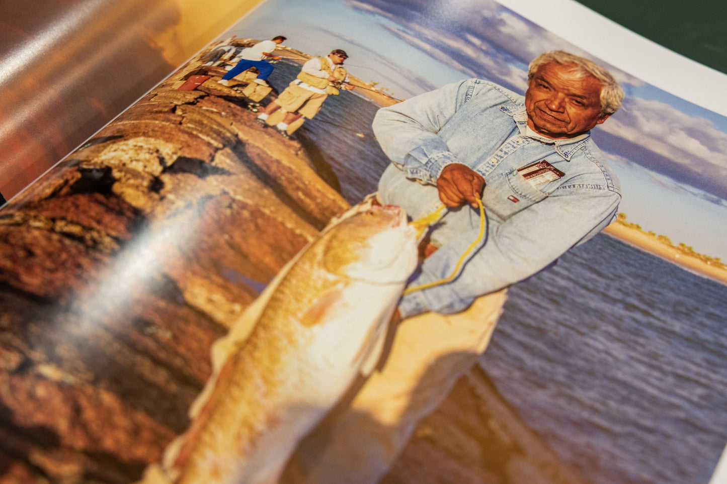 LAGUNA book