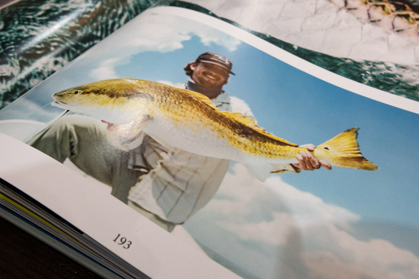 LAGUNA book