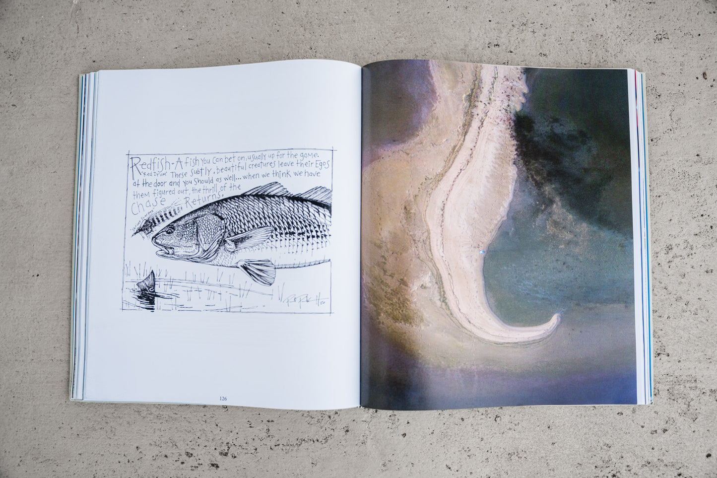 LAGUNA book