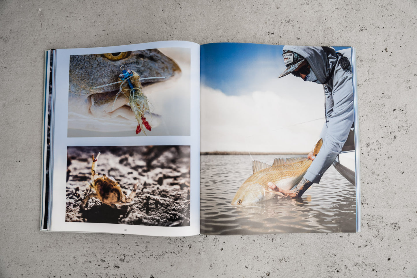 LAGUNA book