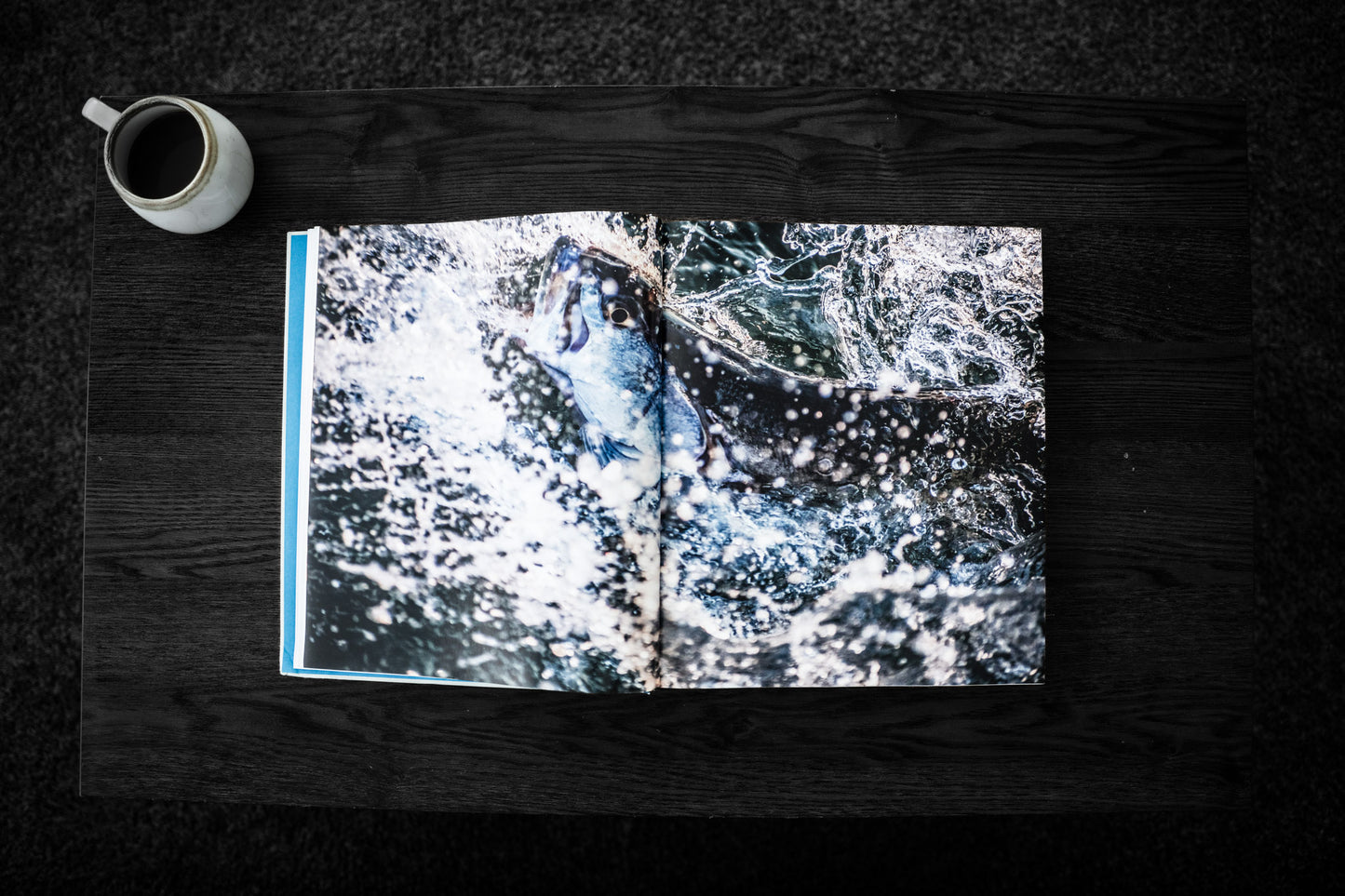 LAGUNA book