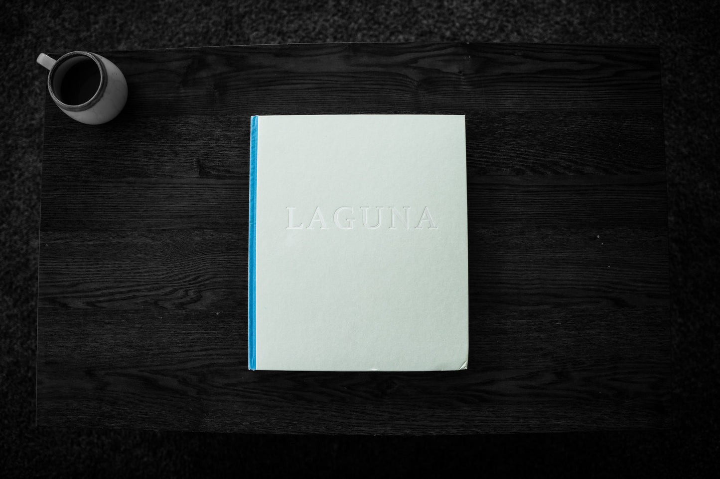 LAGUNA book